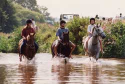 Budleigh Salterton Riding Stables